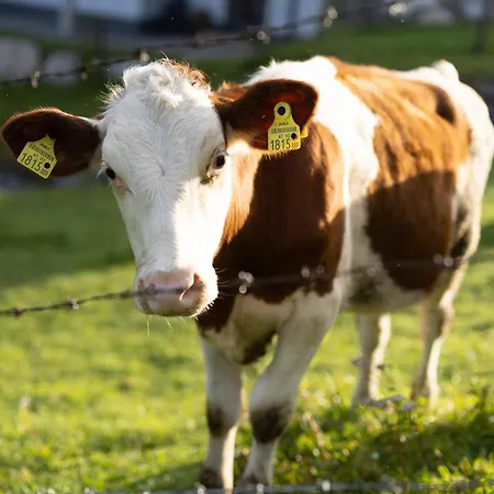 アパート Du.appartement