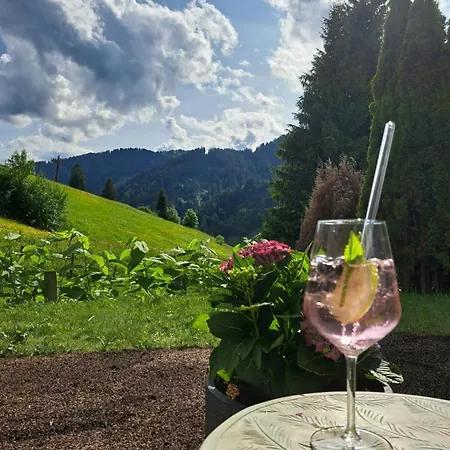 Du.appartement アパート Dienten am Hochkönig