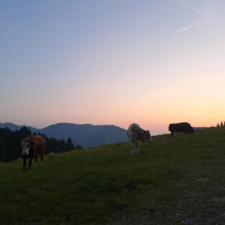 Du.appartement Lejlighed *