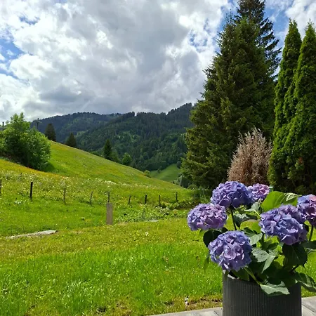 Du.appartement *